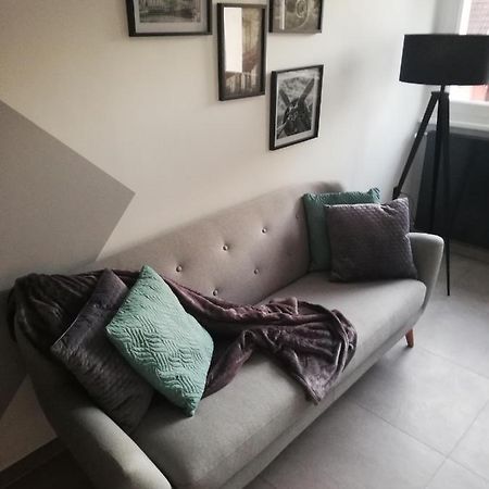 Apartmán La Casa D'Ernestine Colmar Exteriér fotografie