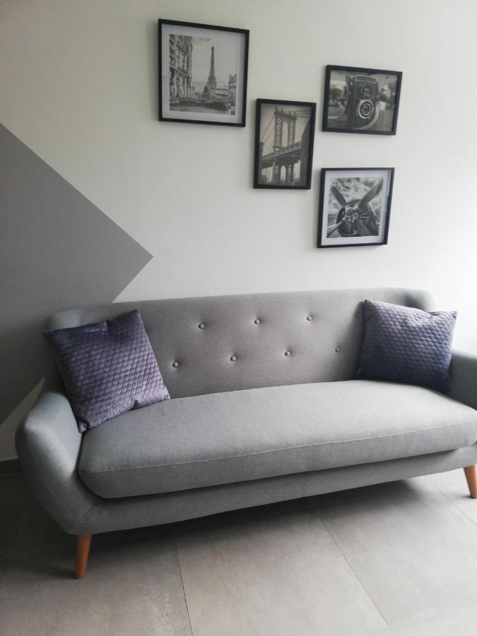 Apartmán La Casa D'Ernestine Colmar Exteriér fotografie